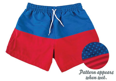 4th of july trunks - chubbies - the liberties