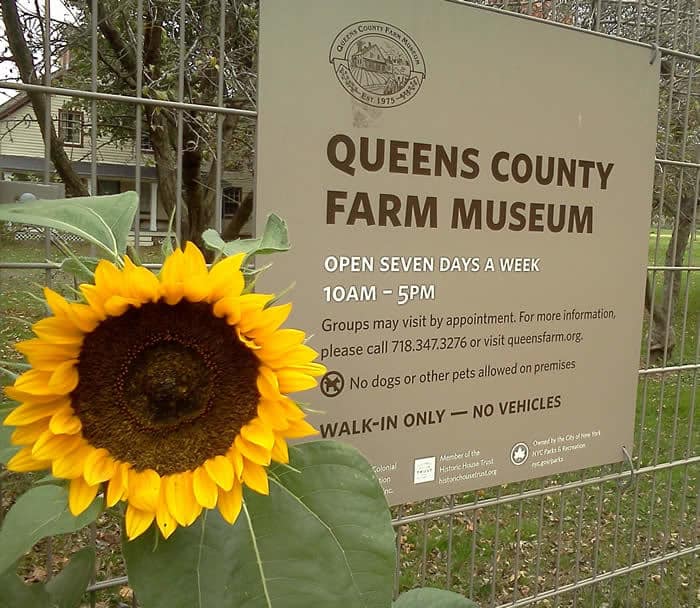 Queens-County-Farm