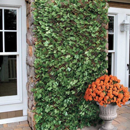 smaller ivy privacy screen